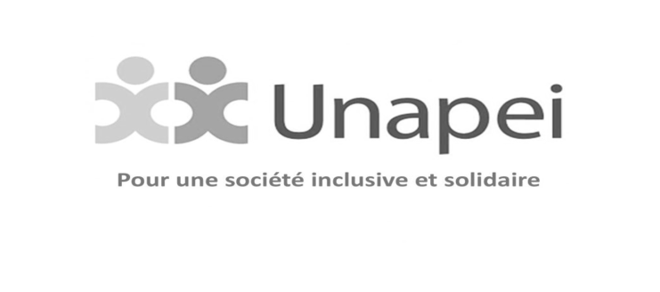 logo unapei energie