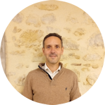 studeffi Nicolas Studeffi Nicolas